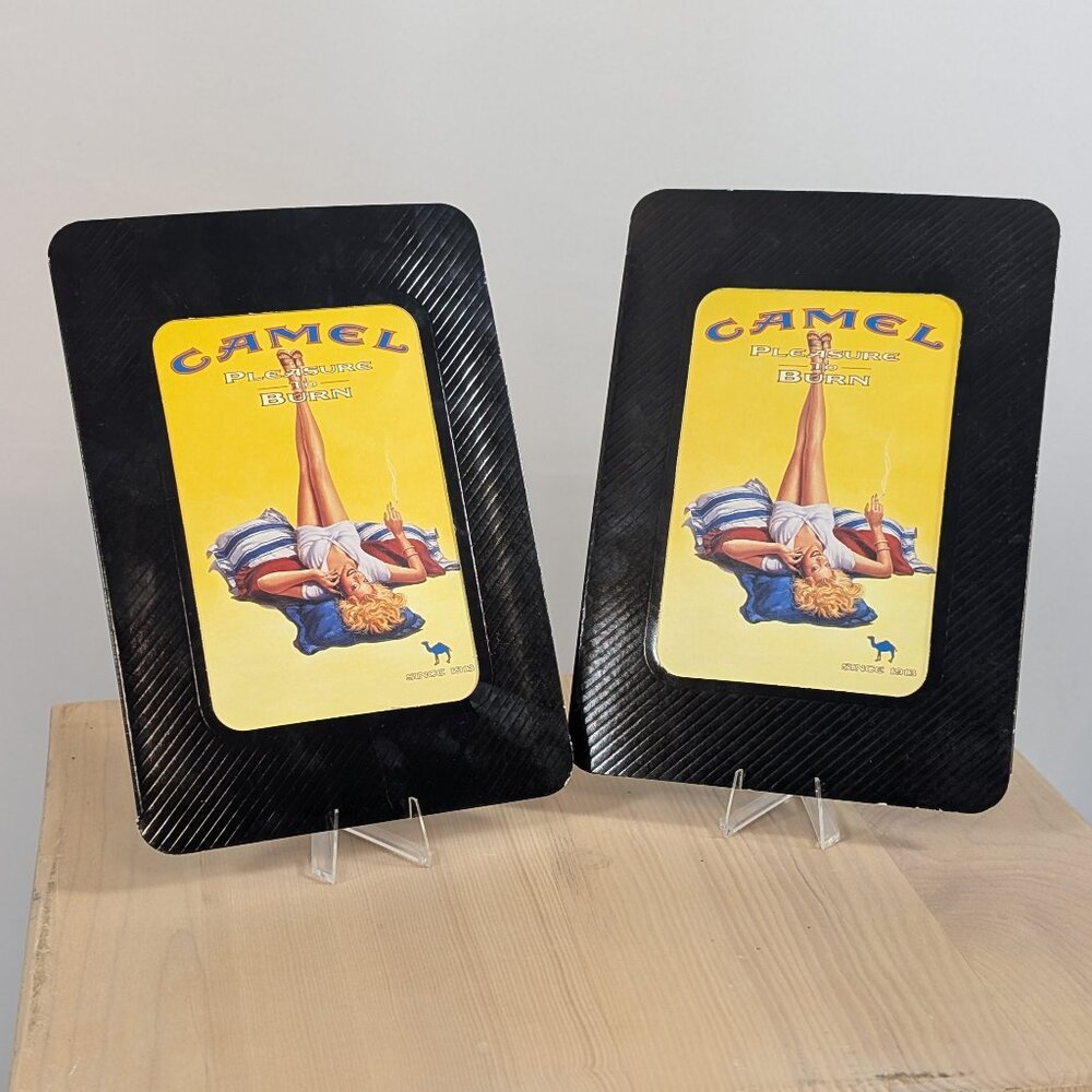 (2) Camel pleasure to burn displays